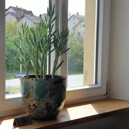 Apartment Bahnhof Grombach